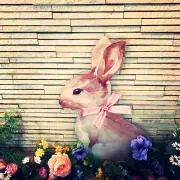k.k.k-mama