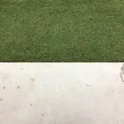 リーフ