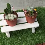 じゅんこの画像