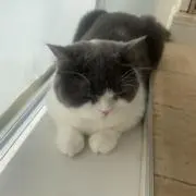 すんの画像