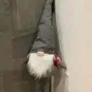 momoの画像