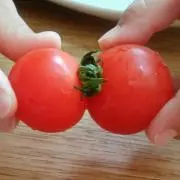 なのはの画像