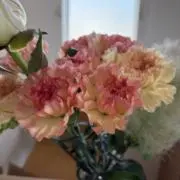 なつの画像