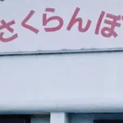 さくらんぼ
