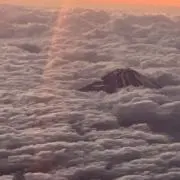 ナッツの画像