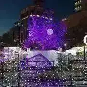 ゆきあかりの画像