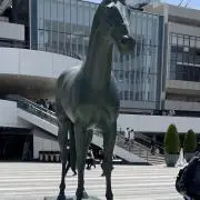 TY【人文書中心に販売】の画像