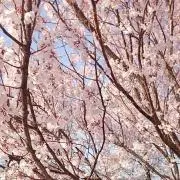 あ〜ち