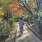 ピノの画像