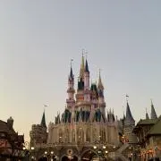 Aytの画像