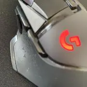 かめだよ！！