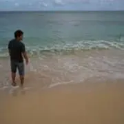 おでんの画像
