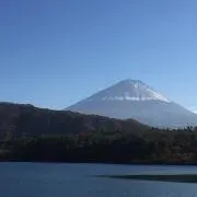 しゅうの画像