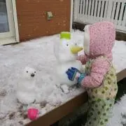 ハッチの画像