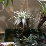 じゅんやの画像