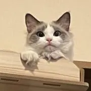 ナツ子