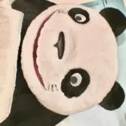りっちゃんの画像
