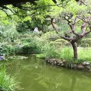 さかし（仮）の画像