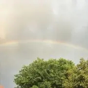 y-t