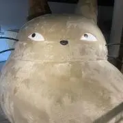 さかもこの画像