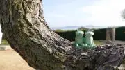 しげよさん　大掃除中の画像