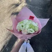 のぶたすの画像