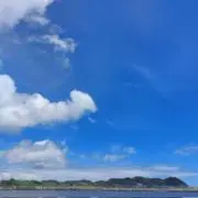 らむの画像