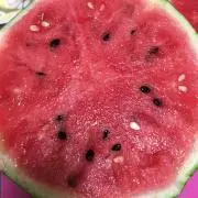 すずっき〜の画像