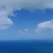 みーたん。の画像
