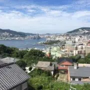 kaiの画像