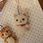 ちよ(プロフ有)の画像