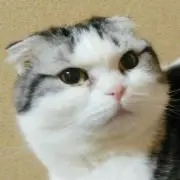 サイドウェイの画像