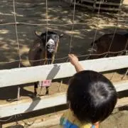 あいちゃん