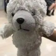 コーニー★プロフご一読下さい★の画像