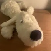 zの画像