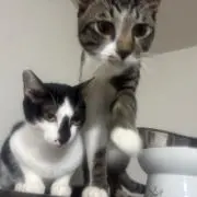 jamjamの画像
