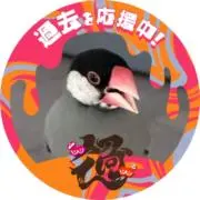 りんぐっちやの画像