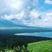 Dej shnの画像