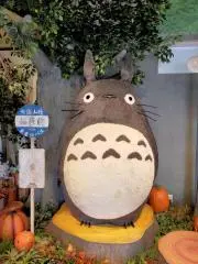 りっちゃんの画像