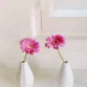 ナシゴレン