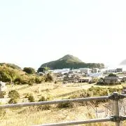 ドルの画像