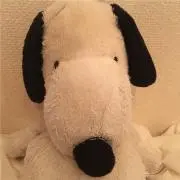 ツタツタの画像