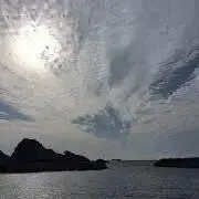 OSUの画像