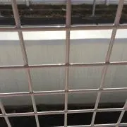 ミルク