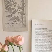 4.9の画像