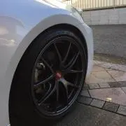 ガッキーの画像