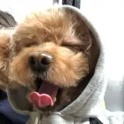 FUNNY ♢古着屋の画像