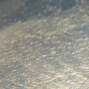 みどり