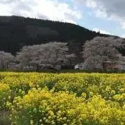 ＊ぼん＊⚠休日発送になります⚠︎の画像