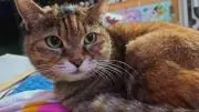 §くぅーの本屋さん§(※プロフ必読※)の画像